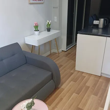 Kawalerka W Centrum Miasta * Στσέτσιν