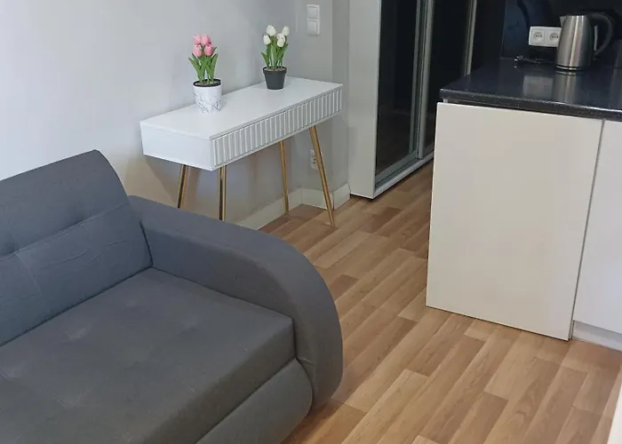 Kawalerka W Centrum Miasta * Stettin